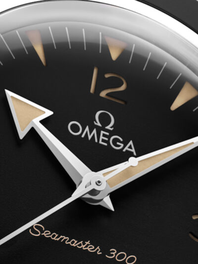 234.30.41.21.01.001 1