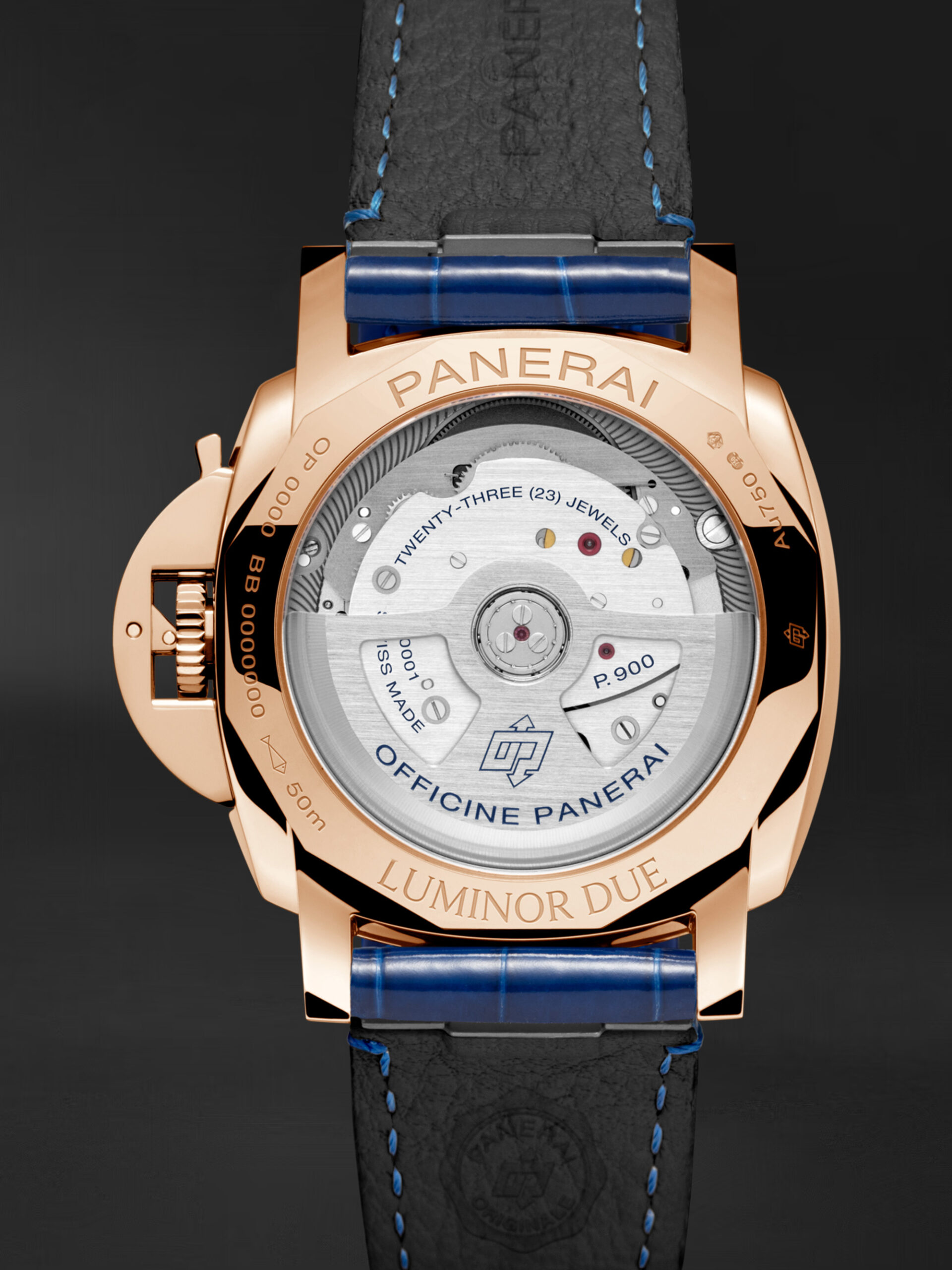 PAM01181