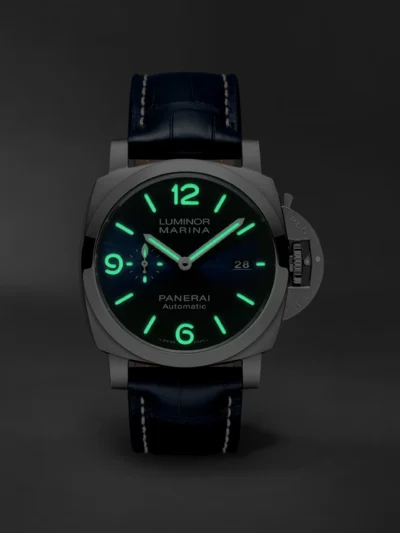 PAM01313