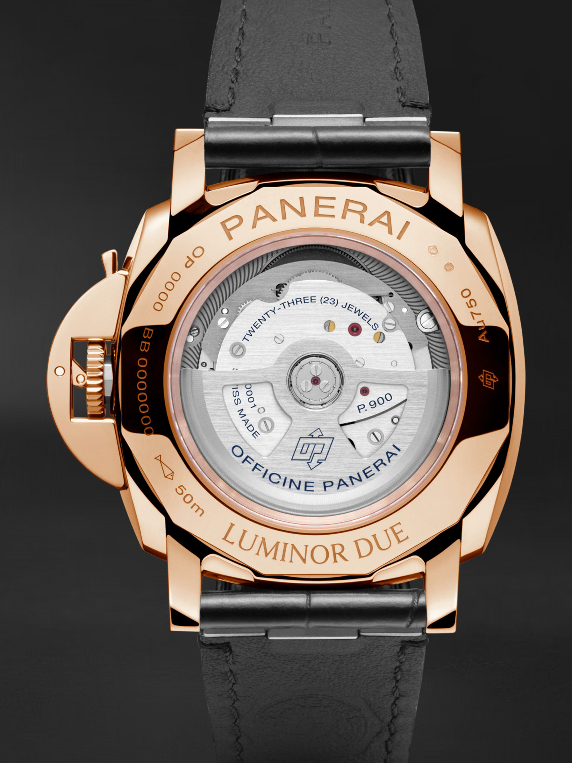 PAM01336