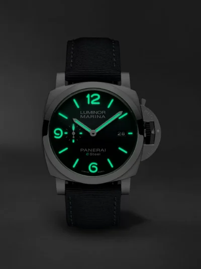 PAM01358