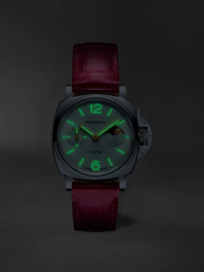 Pam01557 1