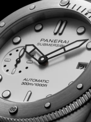 Pam01590 1