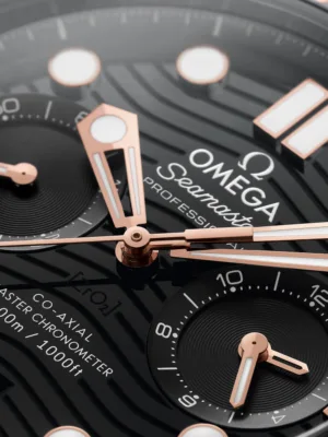 210.22.44.51.01.001 1