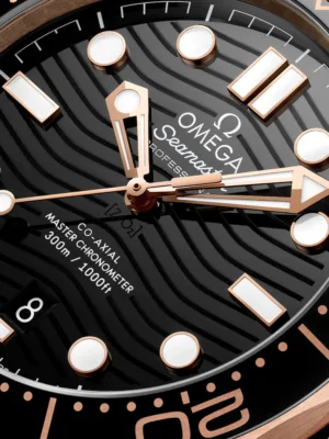 210.62.42.20.01.002 1