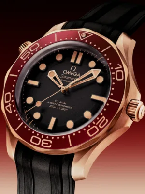 210.92.42.20.01.003 2