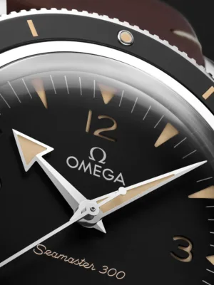 234.32.41.21.01.001 1