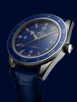 234.93.41.21.99.002 2