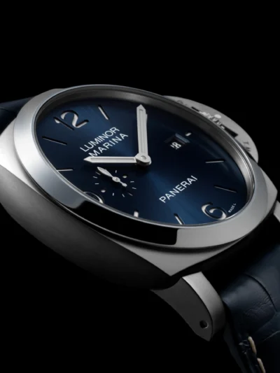 Pam03313 1