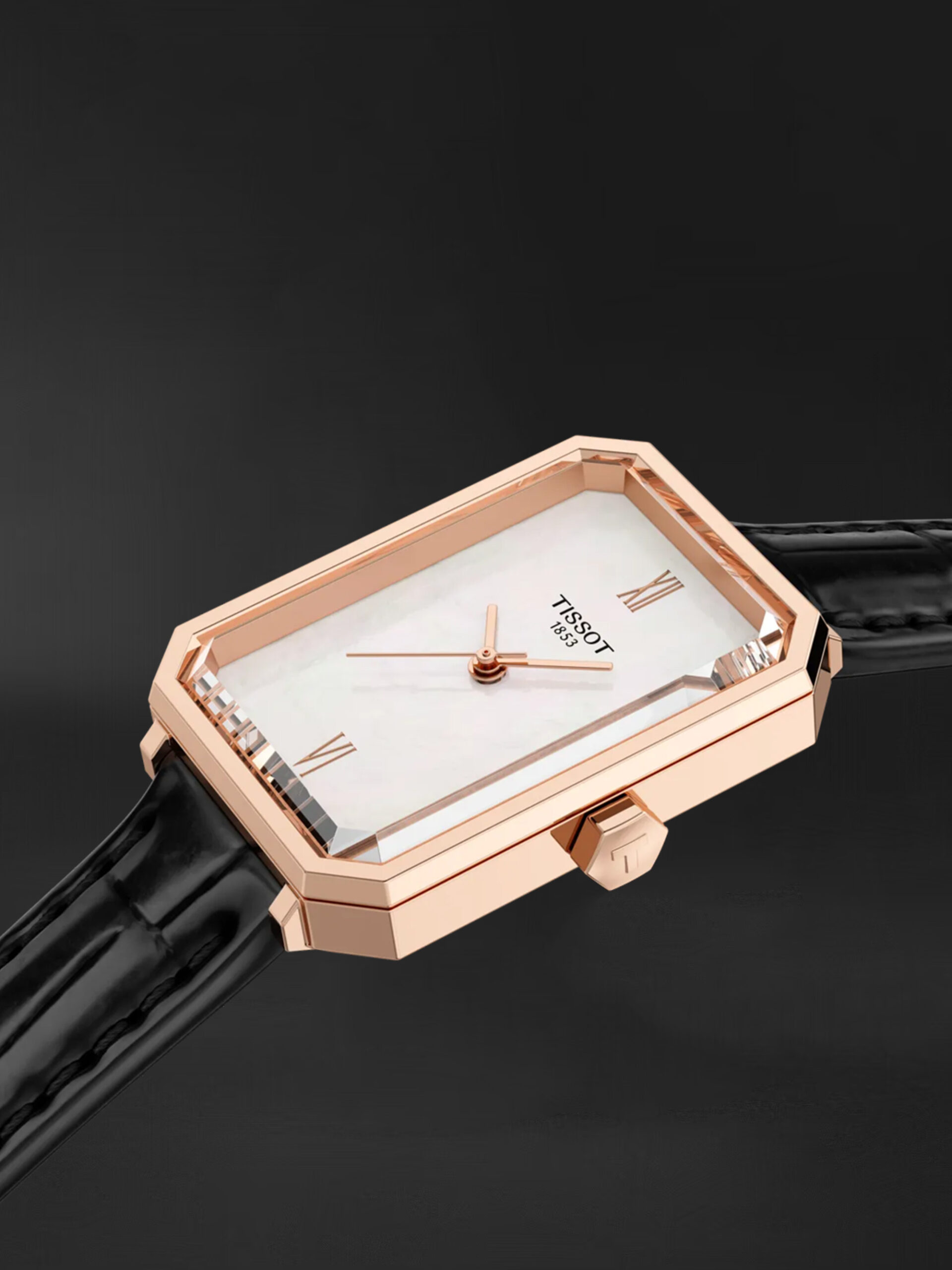 T160.110.36.113.00 1