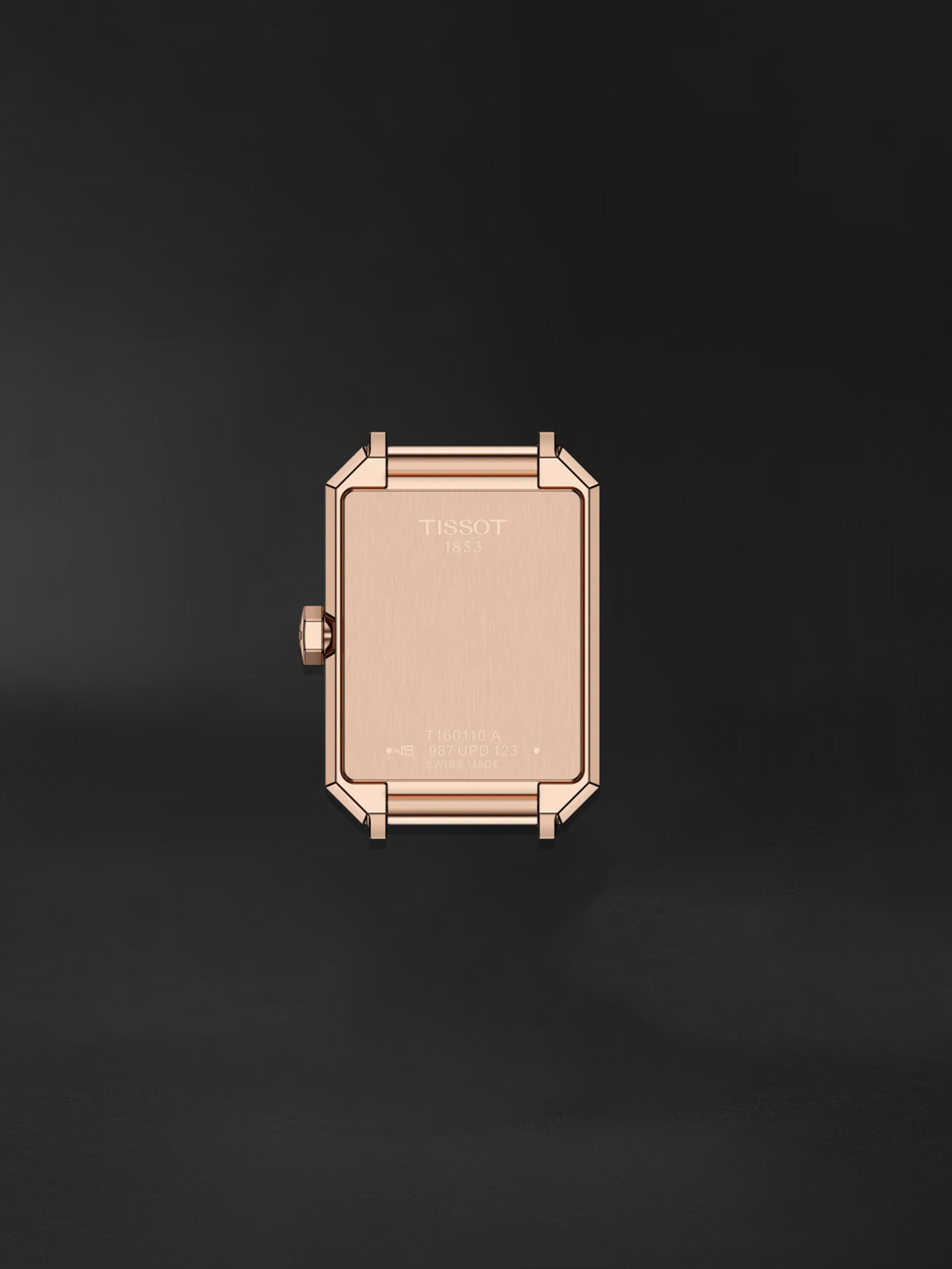 T160.110.36.113.00 2