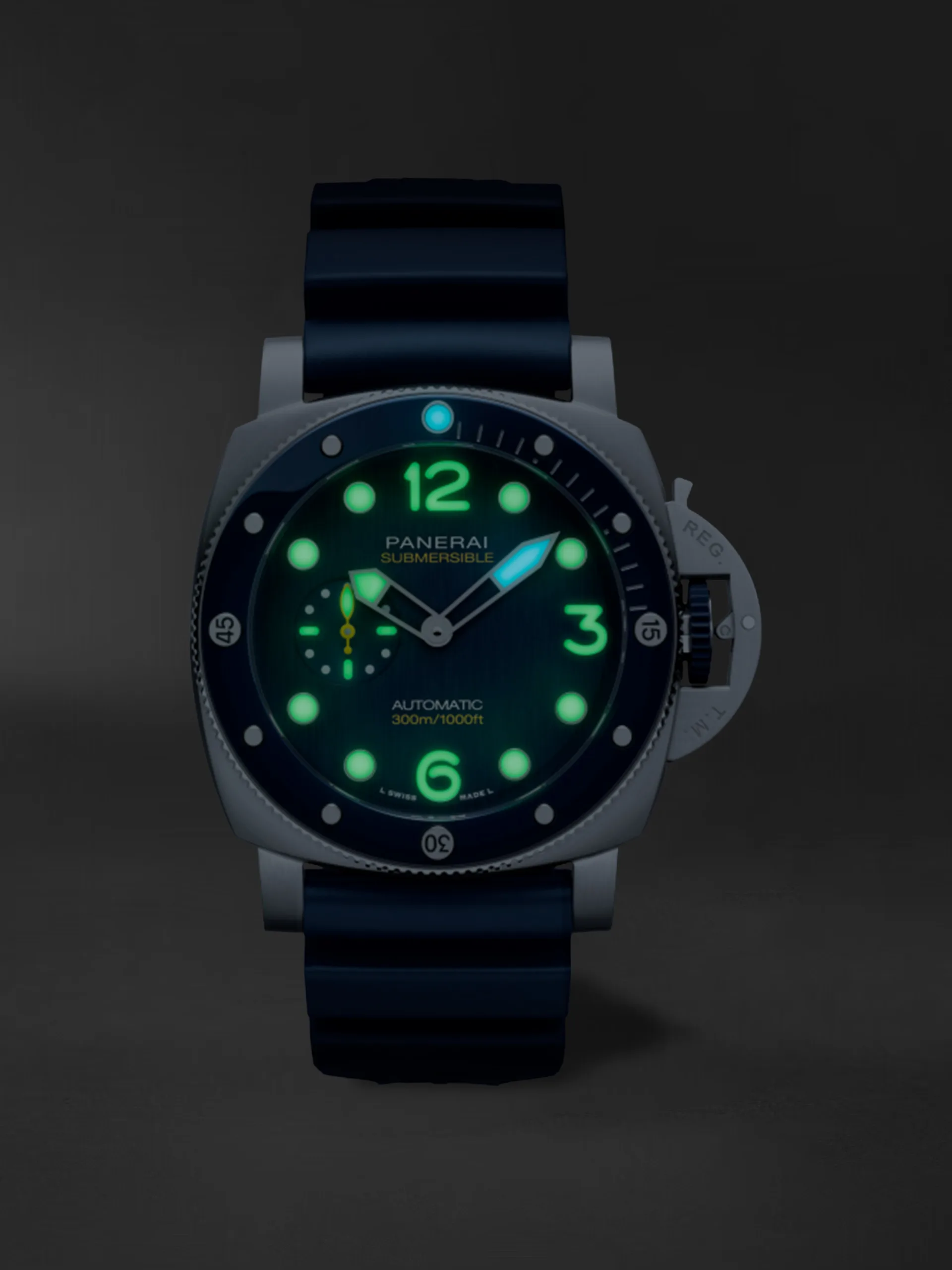 PAM01676