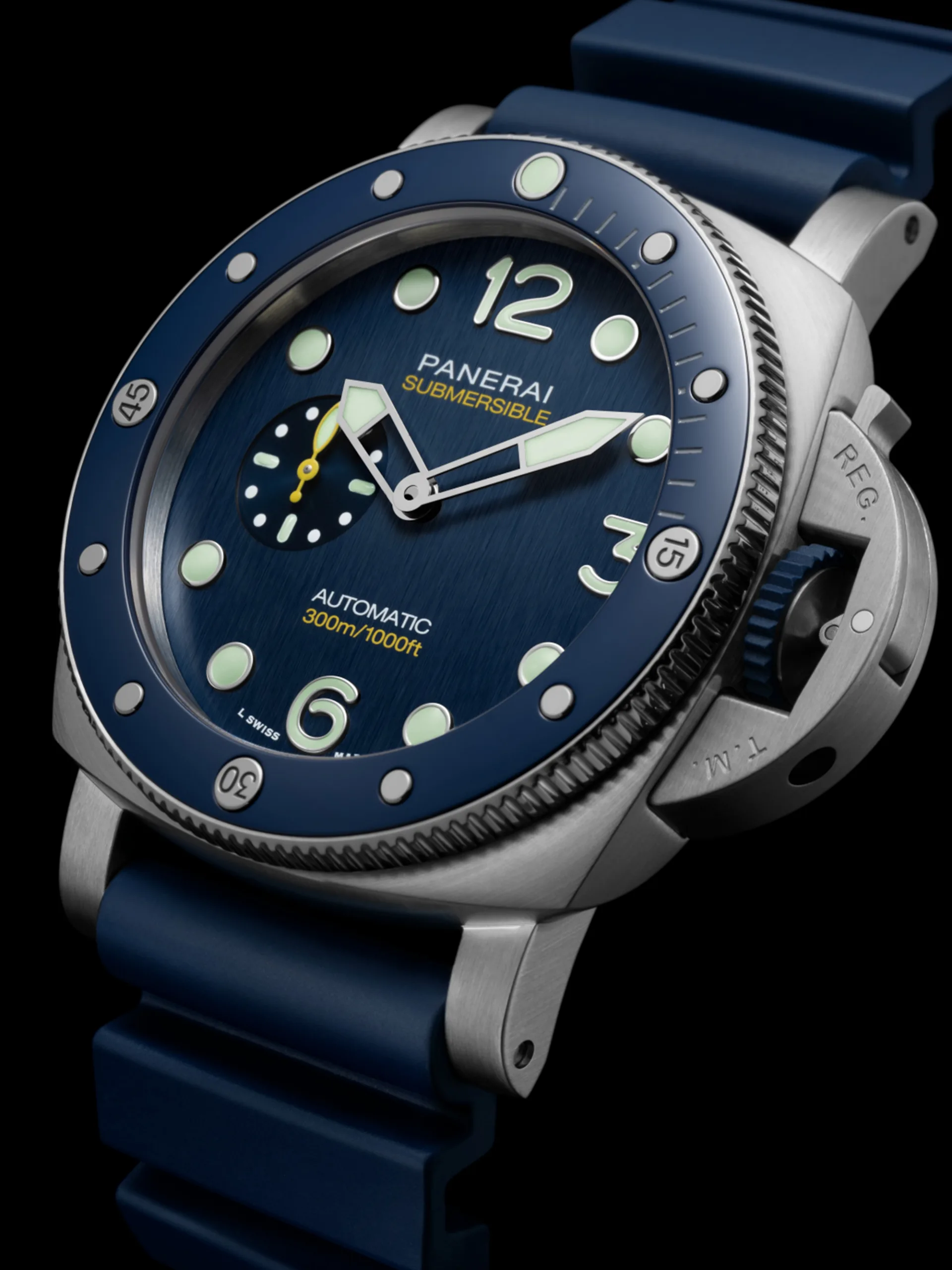 PAM01676