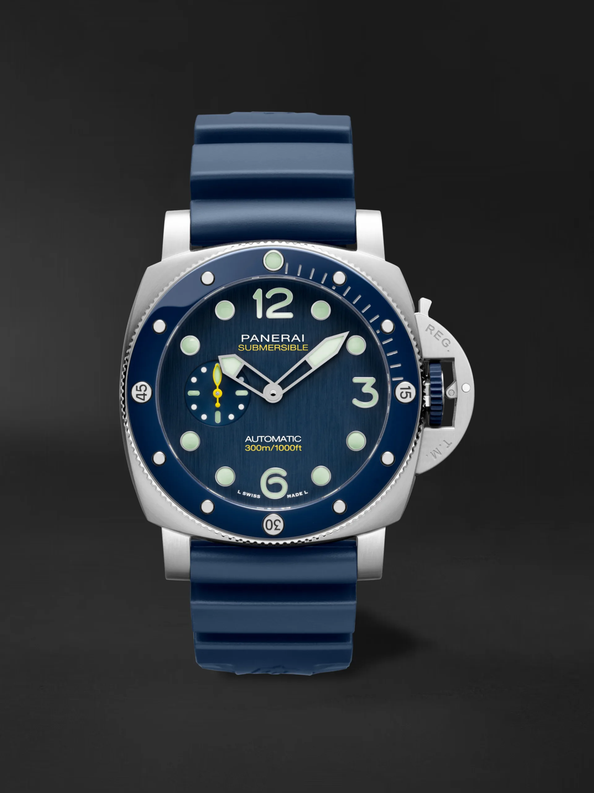 PAM01676