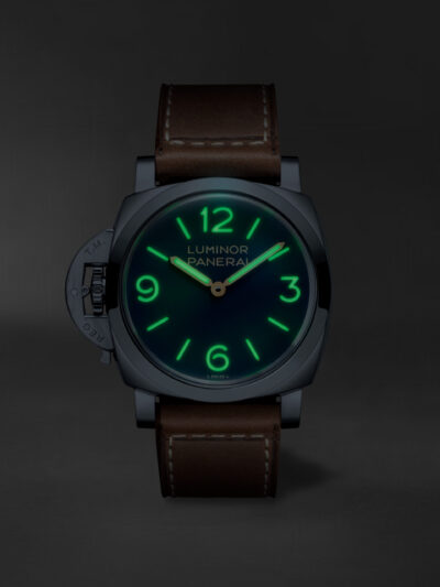 PAM01732 PAM