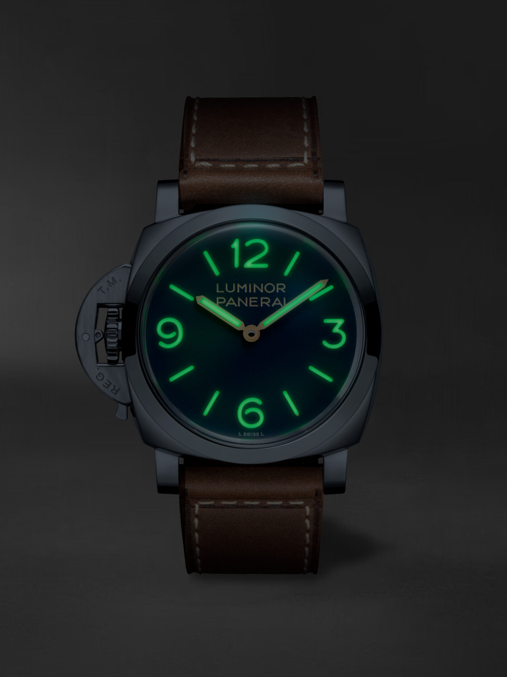 PAM01732 PAM