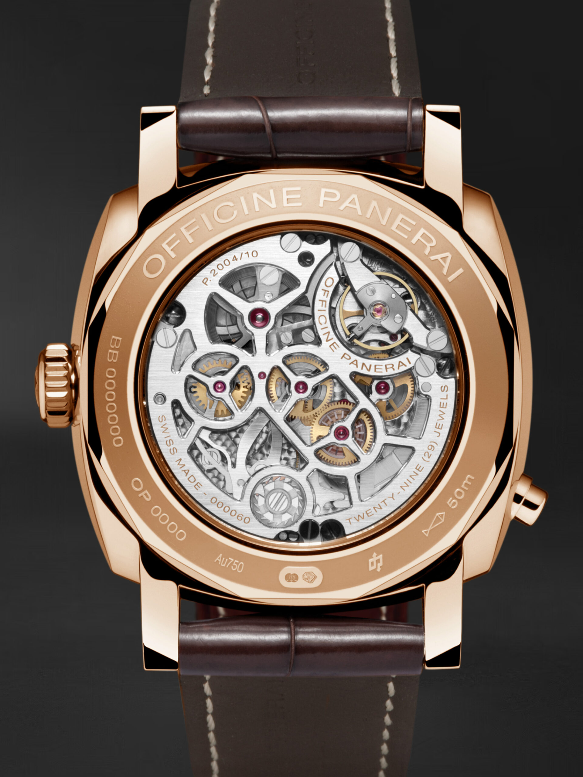 PAM00502