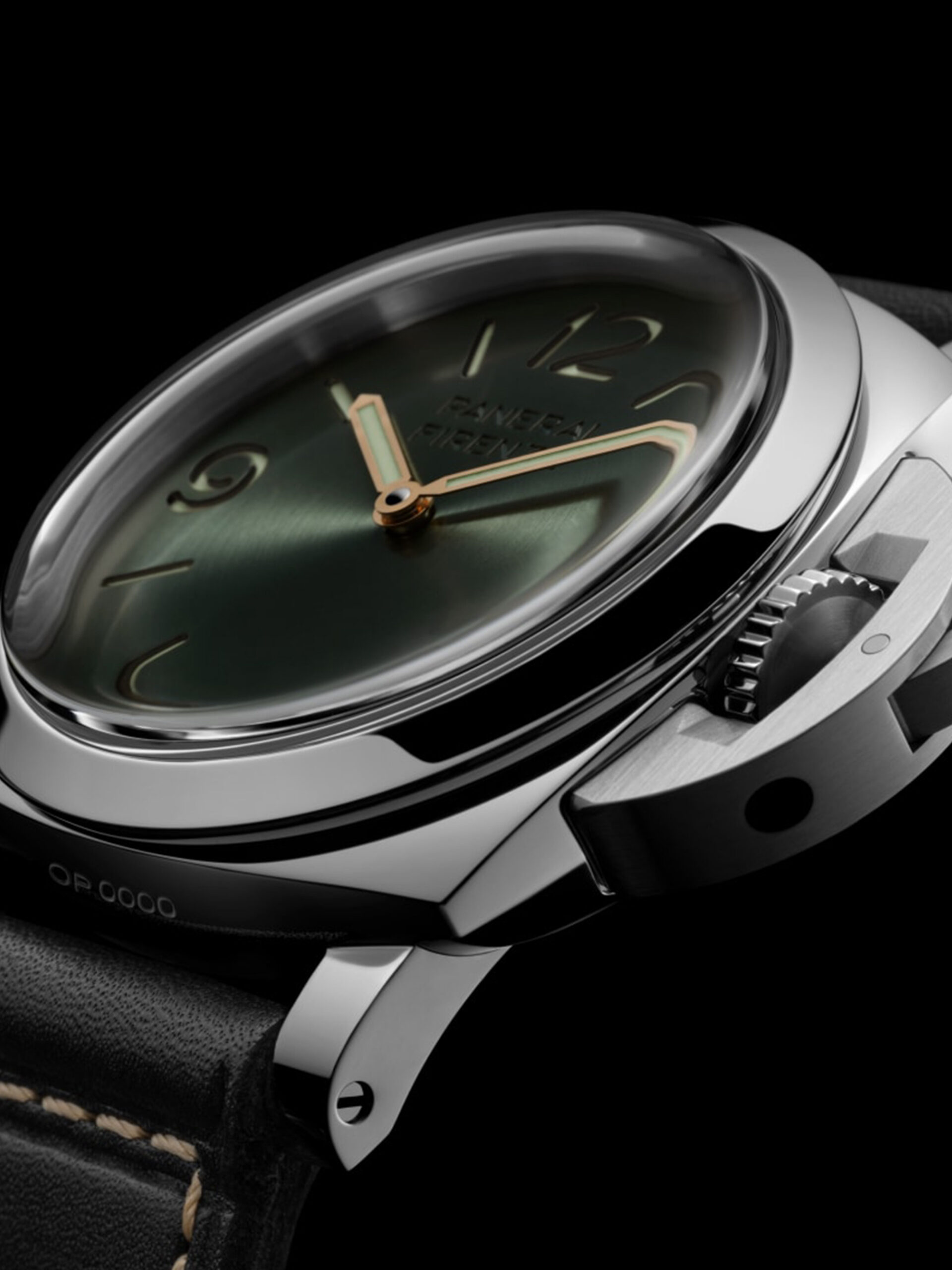 PAM01734