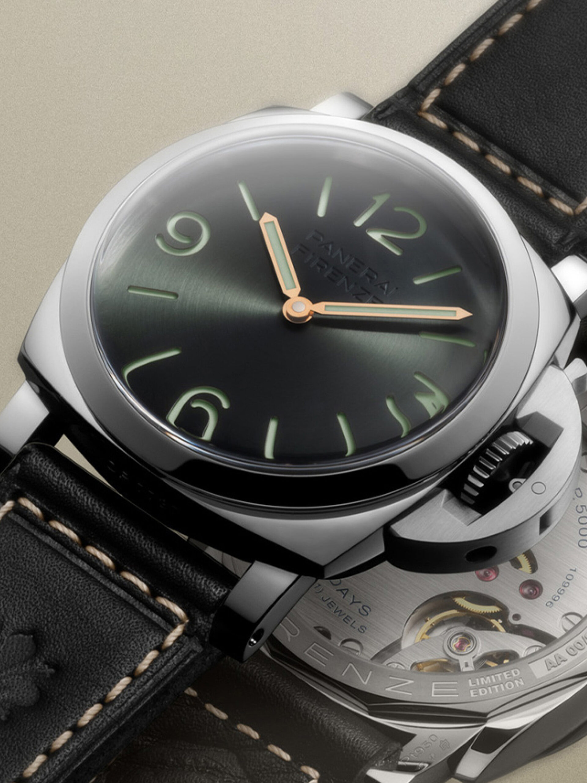 PAM01734